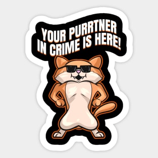 Cool Cat With Sun Glasses On Purrsday Sticker